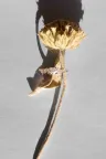Ring Rania Coussin in pink gold