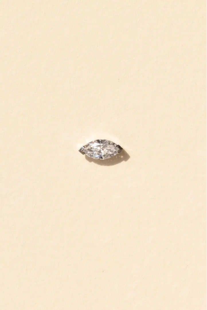 Boucle d'oreille Puces d'oreille Serties or blanc 18 carats Poli Diamant naturel